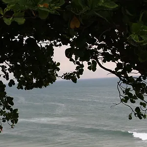 The Exotic Marigold Varkala
